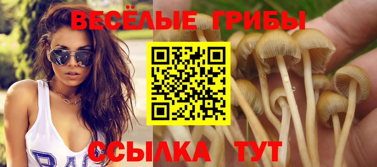 Псилоцибиновые грибы ЛСД Кстово